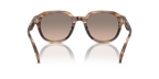 Brown Horn