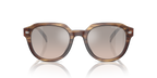 Brown Horn