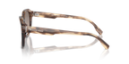 Brown Horn