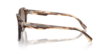 Brown Horn
