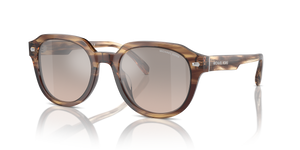 Brown Horn - Brown Black