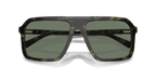 Olive Tortoise
