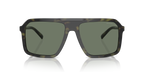 Olive Tortoise