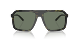 Olive Tortoise