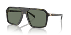 Olive Tortoise