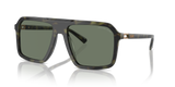 Olive Tortoise