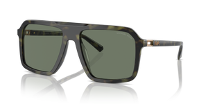 Olive Tortoise - Olive Green
