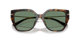 Dark Tortoise