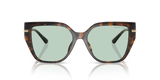 Dark Tortoise