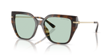 Dark Tortoise