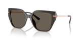 Ash - Ash Solid