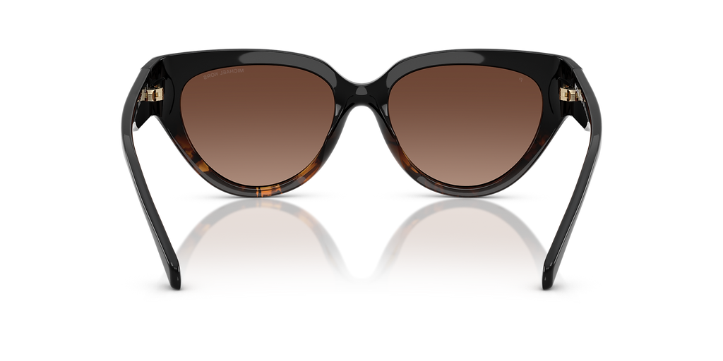 Black Tortoise Gradient