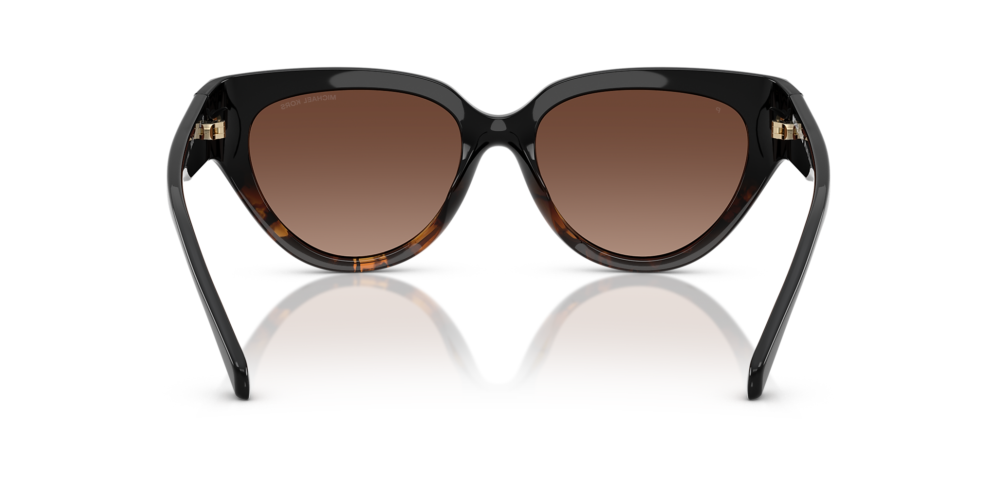 Black Tortoise Gradient