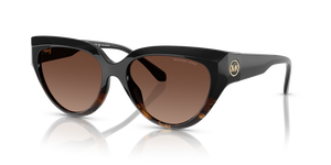 Black Tortoise Gradient - Dark Brown Gradient Polar