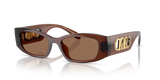 Brown Transparent - Brown Solid