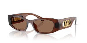 Brown Transparent - Brown Solid