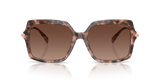 Pink Tortoise
