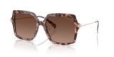 Pink Tortoise