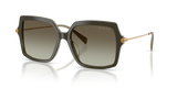 Olive Smoke - Olive Gradient