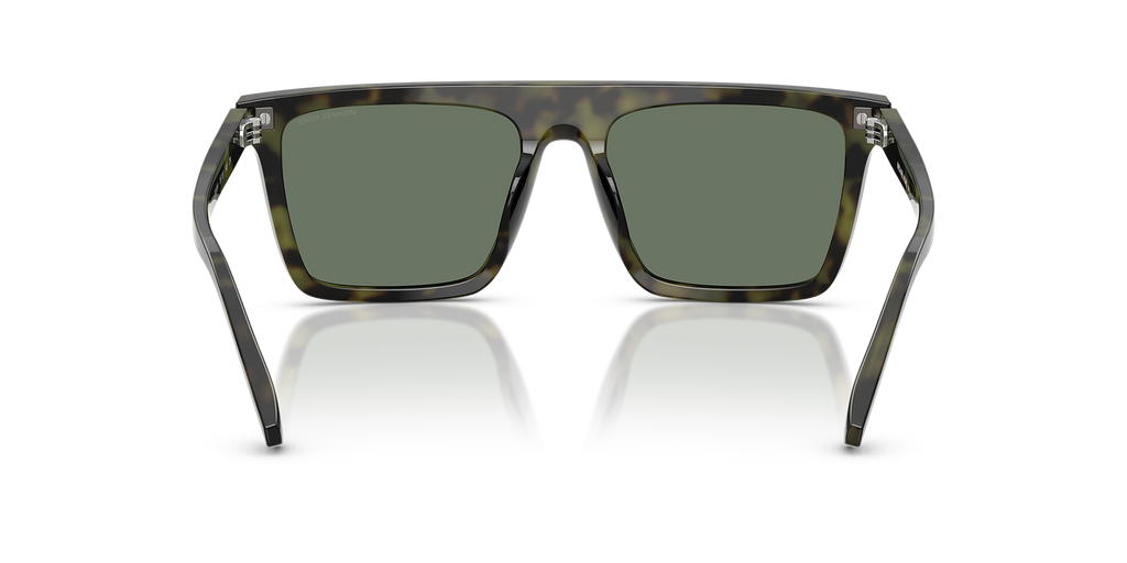 Olive Tortoise