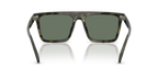 Olive Tortoise