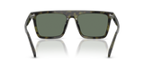 Olive Tortoise