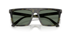 Olive Tortoise