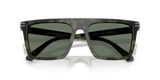 Olive Tortoise