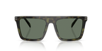 Olive Tortoise