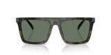 Olive Tortoise