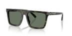 Olive Tortoise