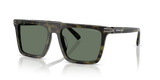 Olive Tortoise