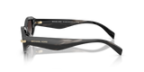 Black Horn