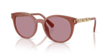 Primrose - Rose Mirror