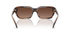 Brown Horn
