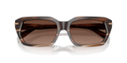 Brown Horn