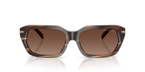 Brown Horn