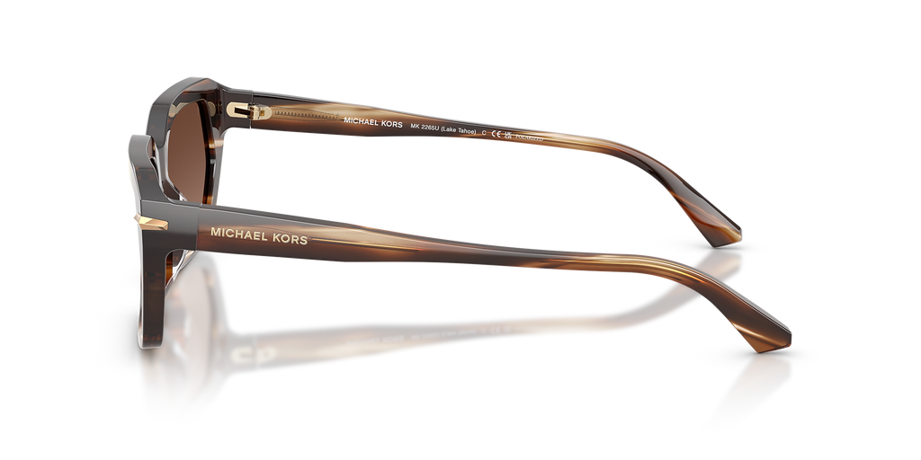 Brown Horn