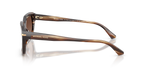 Brown Horn