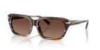 Brown Horn