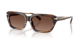 Brown Horn
