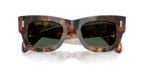 Saddle Tortoise