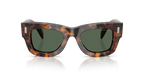 Saddle Tortoise