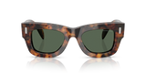 Saddle Tortoise