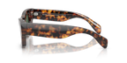 Saddle Tortoise