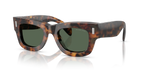 Saddle Tortoise