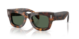 Saddle Tortoise