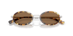 Tortoise