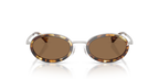 Tortoise