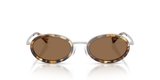 Tortoise